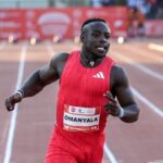 1749043174075_1748773714093_fedir